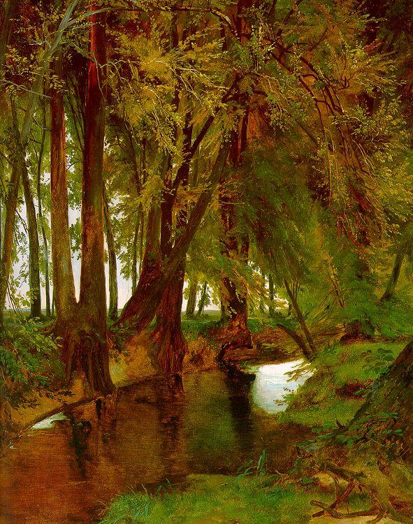 Charles Blechen Woodland with Brook China oil painting art
